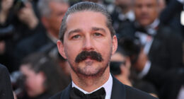The Downfall Of Shia LaBeouf Explained