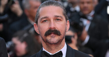 The Downfall Of Shia LaBeouf Explained