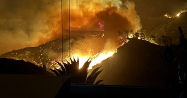 The LA councilmember trying to stop developers exploiting wildfire hotspots