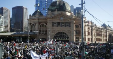 The brazen ad for rent-a-crowd protesters to attend anti-Israel rally in Melbourne
