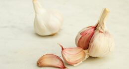 The cancer-busting foods I tell all my patients to eat... some of them may surprise you