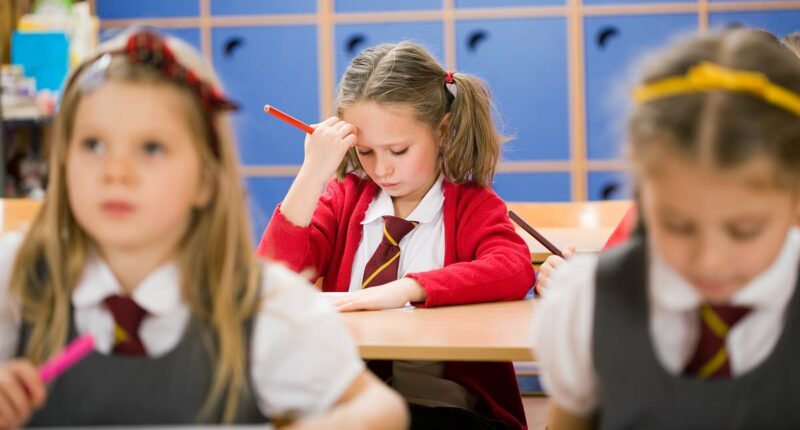 The deeply uncomfortable truth about many special educational needs children that few people want to talk about, by DR MAX PEMBERTON