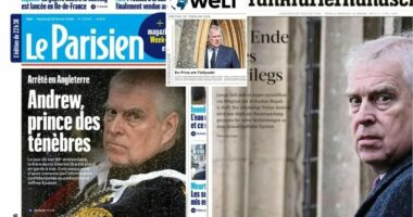 'The end of privilege': Global newspapers pore over 'Crown in crisis'