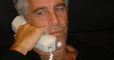 The fall-out of the Epstein files and why it's only just the start