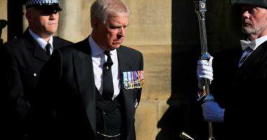 The former Prince Andrew went from helicopter pilot to trade envoy to royal pariah