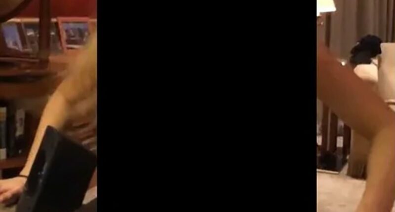 The secrets of Jeffery Epstein's Red Room revealed