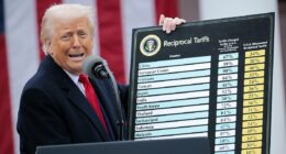 Theory Trump railed against Supreme Court under pseudonym, debunked