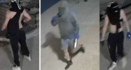 Thieves swipe $40,000 of rescue gear from SES depot