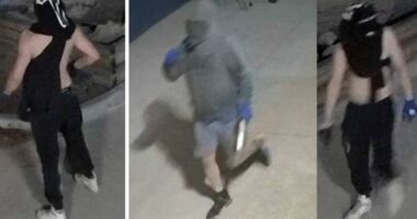 Thieves swipe $40,000 of rescue gear from SES depot