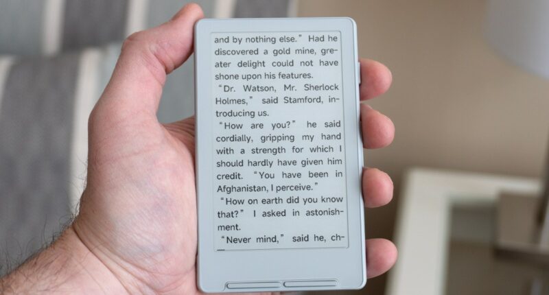 This pocket-friendly e-reader is packed with frustration and potential