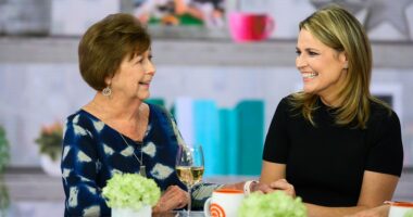 Timeline: NBC host Savannah Guthrie’s mother disappears as sheriff says she may have been 'abducted'