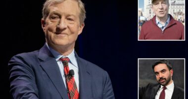 Tom Steyer's lefty staff mocked him in now-deleted tweets