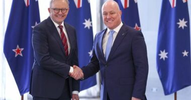 Australian Prime Minister Anthony Albanese and New Zealand Prime Minister Christopher Luxon shake hands during an Australia-New Zealand Leaders Meeting at Taramea.