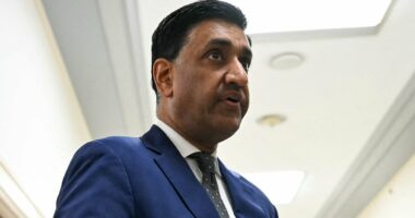 Top US lawmaker savages Starmer and Andrew over Epstein