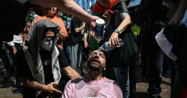 Top cop defends police after chaotic clashes erupted at pro-Palestine rally when crowds refused to disperse - as shock footage emerges of officer punching at protester