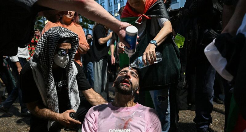 Top cop defends police after chaotic clashes erupted at pro-Palestine rally when crowds refused to disperse - as shock footage emerges of officer punching at protester