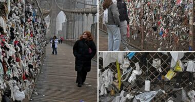 Tourists tie pules of trash -- including tampons, condoms, panties -- to Brooklyn Bridge in disgusting trend