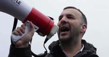 Toxic Greens made this the most divisive by-election in UK history