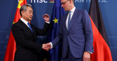 Trade, Ukraine and new world order are top concerns on German leader's visit to China