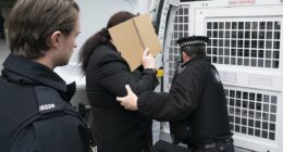 Trans activist who accused Graham Linehan is arrested