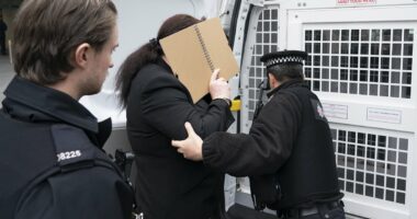 Trans activist who accused Graham Linehan is arrested