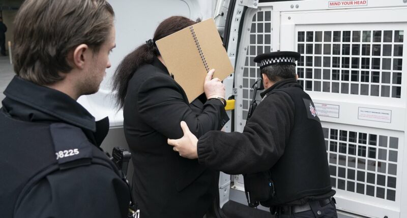 Trans activist who accused Graham Linehan is arrested