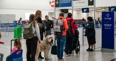 Travelers will not be able to use TSA PreCheck amid partial shutdown
