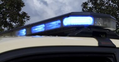 Truck taken into evidence after striking, killing pedestrian walking on shoulder of Volusia County road, FHP says