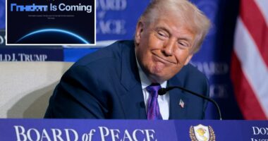 Trump admin develops 'Freedom.gov' portal for Europeans, others to access banned content