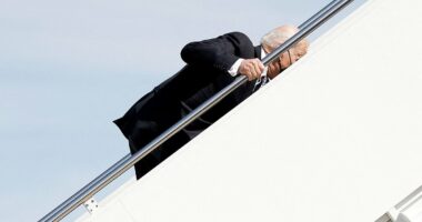 Trump admits to taking it 'nice and slow' on Air Force One stairs after watching Biden's repeated falls