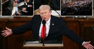 Trump blasts Democrats who refused to stand for protecting Americans over 'illegal aliens' at State of the Union 2026