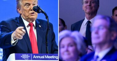 Trump claims Newsom has dropped out of White House race, Gov. snaps back