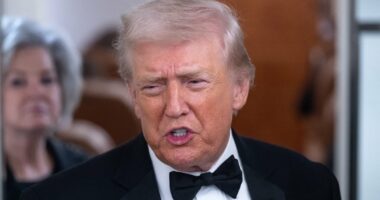 Trump claims 'big powerful ships' are on their way to Iran