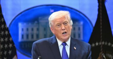 Trump declares 'foreign interests' corrupted Supreme Court justices who struck down tariffs: 'They're afraid'