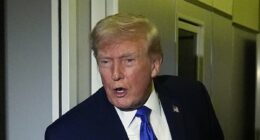 Trump declares 'massive ecological disaster' as DC sewage crisis triggers war with Democratic rising star