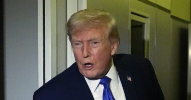 Trump declares 'massive ecological disaster' as DC sewage crisis triggers war with Democratic rising star