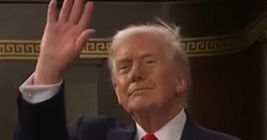 Trump explodes at Democrats' SOTU silence on 'illegal aliens'