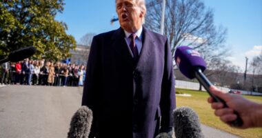 Trump floats 'friendly takeover of Cuba': 'They want our help'