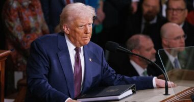 Trump hit by sinister sabotage plot ahead of State of the Union speech