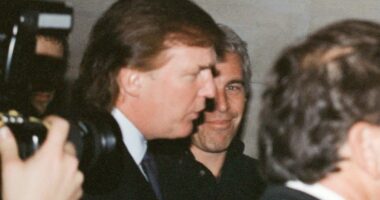 Trump in the unredacted Epstein files 'a million times'