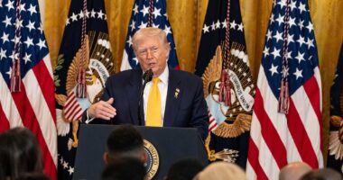 Trump 'is preparing to strike Iran in just DAYS' as military builds up