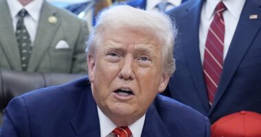 Trump offers federal muscle after Savannah Guthrie's mom snatched from bed: 'I think it's terrible'