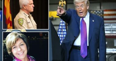 Trump rips Nancy Guthrie sheriff for revealing high-tech FBI 'sniffer' searching for her pacemaker