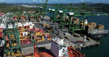 Trump scores strategic win as Panama court ousts Hong Kong firm from canal ports