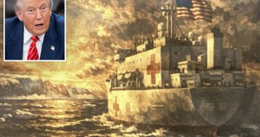 Trump sends hospital ship to Greenland -- after Denmark helped evacuate US Navy sailor from submarine