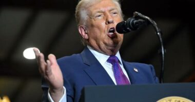 Trump to release government UFO and 'extraterrestrial life' files