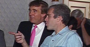 Trump told cops everyone knew Epstein's crimes, called Ghislaine evil