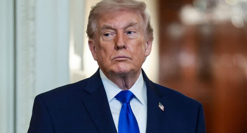 Trump urged to declare national emergency to take power over midterms