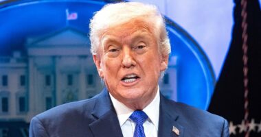 Trump's tariff humiliation 'gives him no choice but to attack Iran'