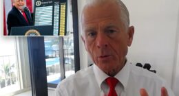 Trump's trade czar reveals why Supreme Court is likely to back WH in next big tariff challenge